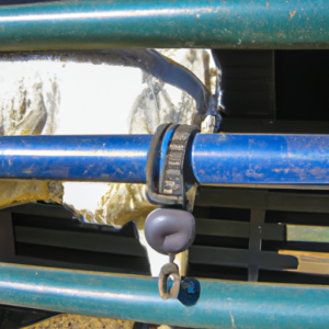 Read more about the article The Essential Equipment for Handling Cattle